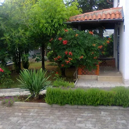 Ostres *